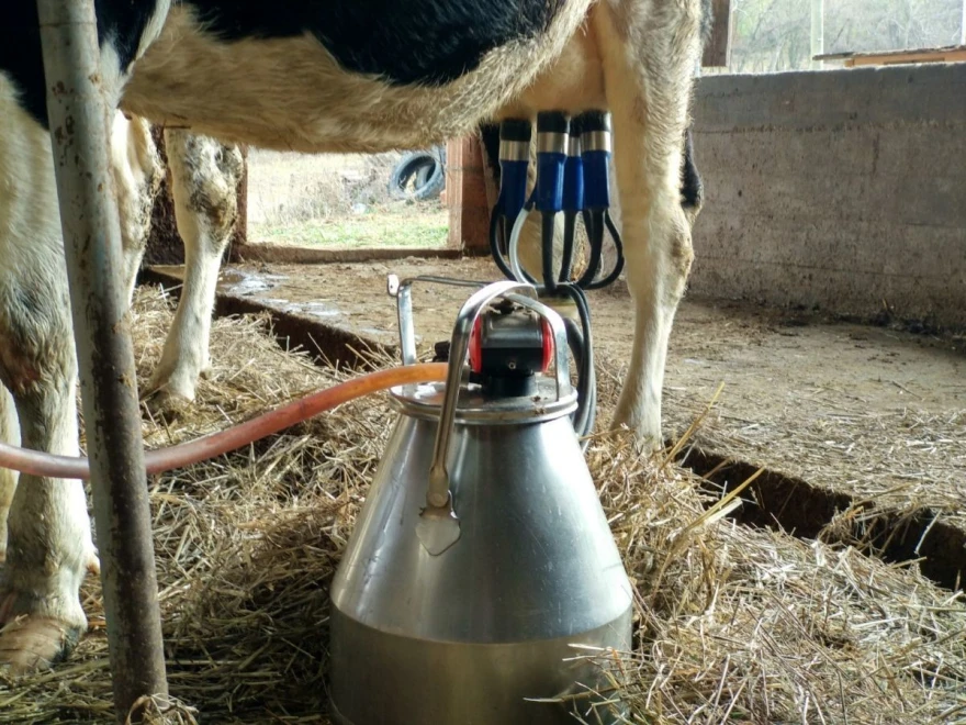 Muženje