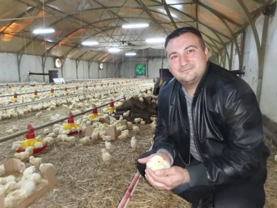 Isplativ samo uslužni tov pilića