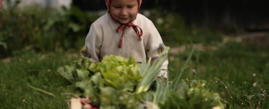 Farma u Jaloviku