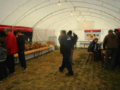 Posetioci izložbe u Obrenovcu