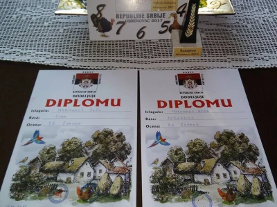 Pehari za najbolje izlagače