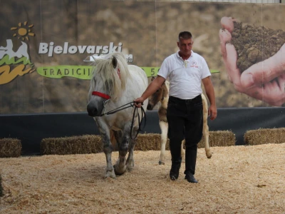 Izložba stoke na sajmu u Gudovcu
