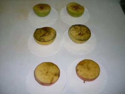 Jodno-skrobni test