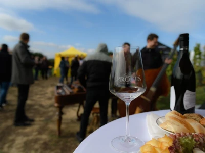 JE Dukovany: Berba grožđa u češkoj nuklearki - proizvest će i vino