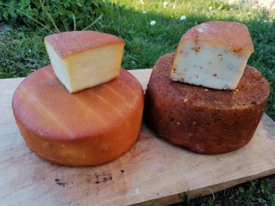 Kačkavalj Tadića