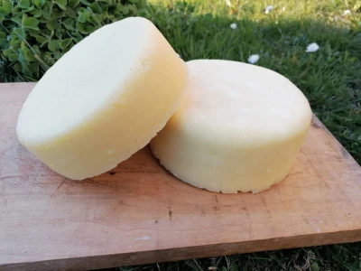 Kačkavalj Tadića