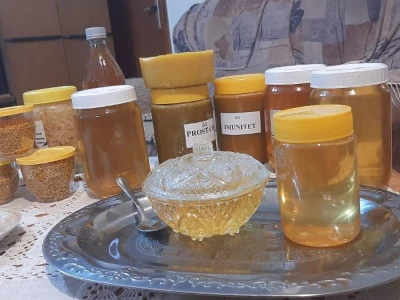 Kako pravilno koristiti pčelinje proizvode, otkriva pčelar iz Topole, foto: M. Lazarević