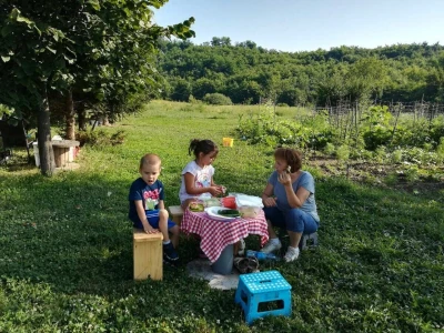 Kako su građani od zapuštenog gradskog zemljišta napravili baštu prepunu povrća uzgojenog na bio način