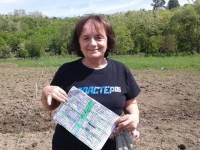 Kako su građani od zapuštenog gradskog zemljišta napravili baštu prepunu povrća uzgojenog na bio način