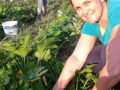 Kako su građani od zapuštenog gradskog zemljišta napravili baštu prepunu povrća uzgojenog na bio način