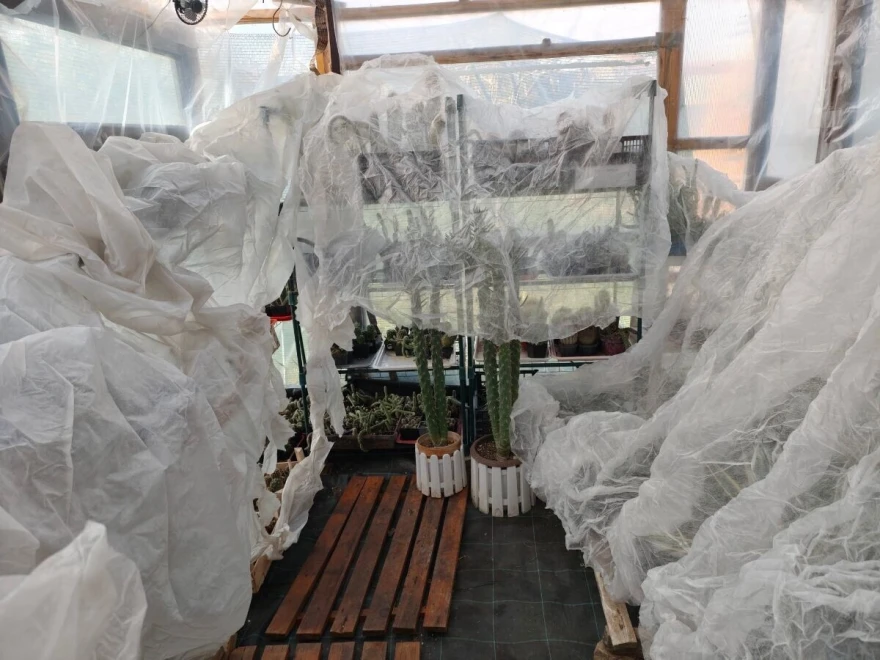 Za&scaron;tita biljaka agrotekstilom