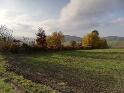 Kalcifikacija zemljišta veoma bitna