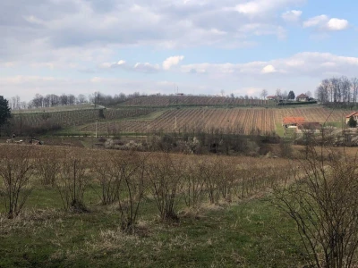 Kalcifikacija zemljišta veoma bitna