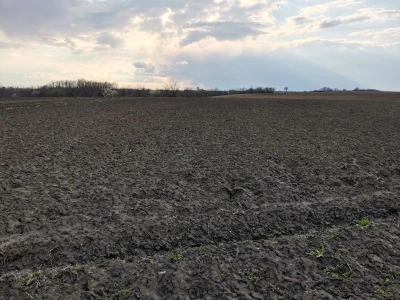Kalkulacija troškova proizvodnje suncokreta 2020. godine