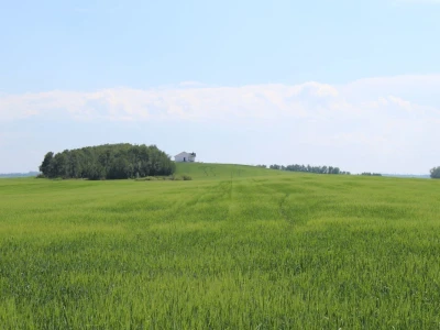 Kanada, velika zemlja rastućeg agrara