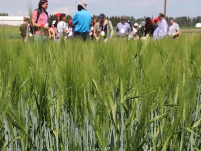 Kanada, velika zemlja rastućeg agrara