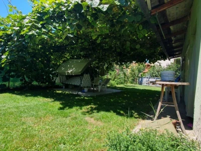 Kivi i banane