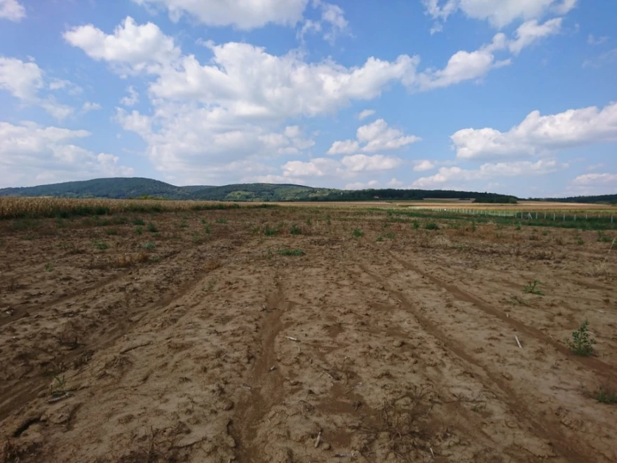 Zemlja