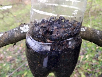 Klopke za insekte