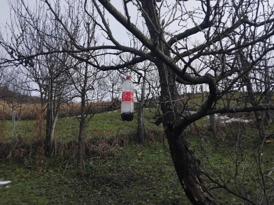 Klopke za insekte