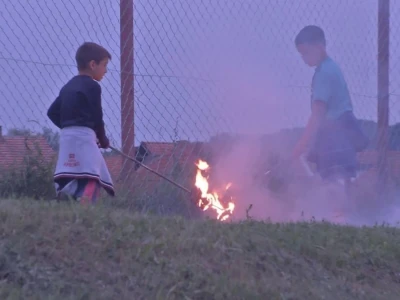 Kora divlje trešnje