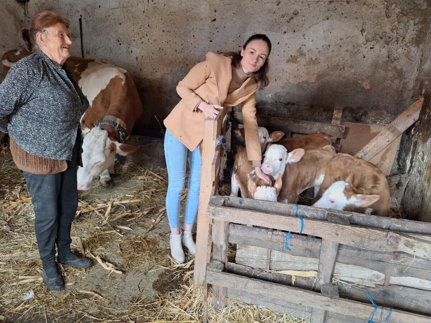 Jovana Cvetković na imanju sa teletom