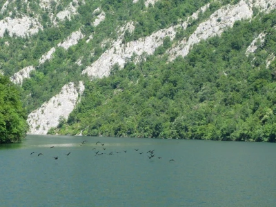 Krstarenje kroz kanjon reke Drine