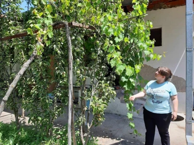 Kuca Dunčića