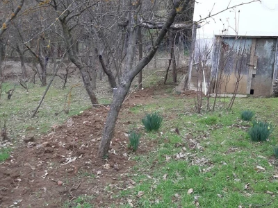 kuća Marka Cvetanovića