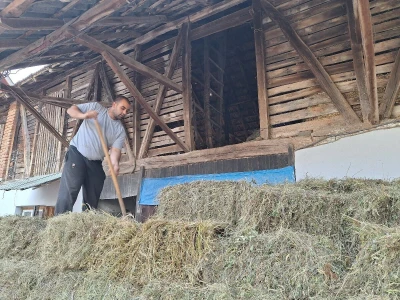Kvalitet sena - prvi otkos lucerke i travnih smeša