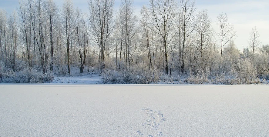Sibir
