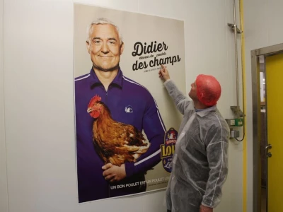 LDC L'oeuf - francuska jaja premijum kvaliteta