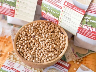 Leblebije