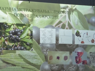 Lekovito i aromatično bilje