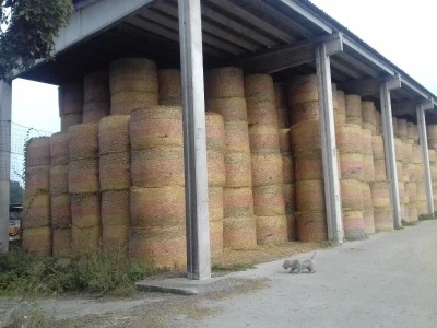 Limuzin, Italija