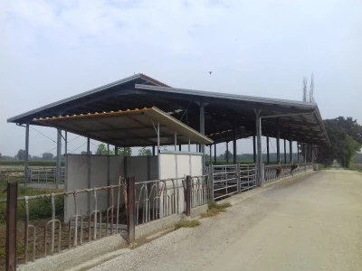 Limuzin, Italija