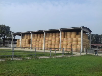 Limuzin, Italija