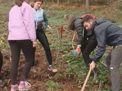 Listopadne šume na obroncima Povlena