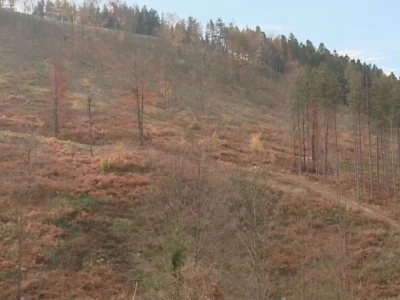 Listopadne šume na obroncima Povlena