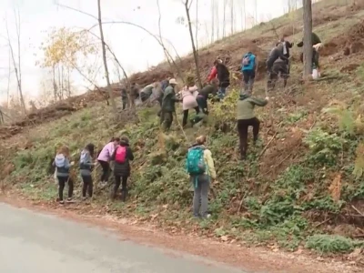 Listopadne šume na obroncima Povlena
