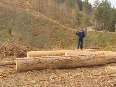 Listopadne šume na obroncima Povlena