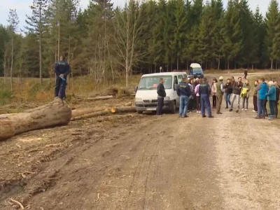 Listopadne šume na obroncima Povlena