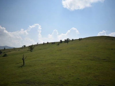 Livade i pašnjaci