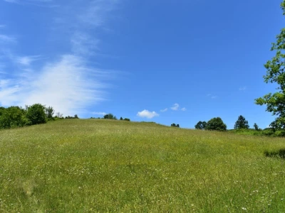 Livade i pašnjaci