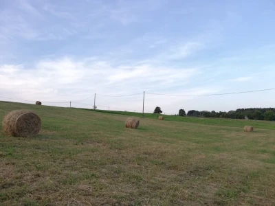 Livade i pašnjaci