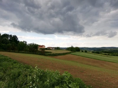 Livade i pašnjaci