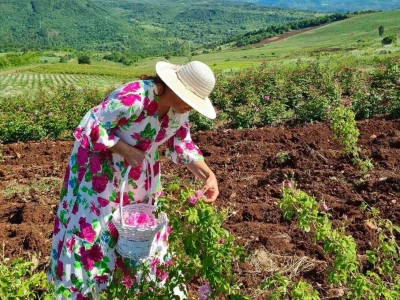 Majka i ćerka uzgajaju lekovito bilje i proizvode eterična ulja