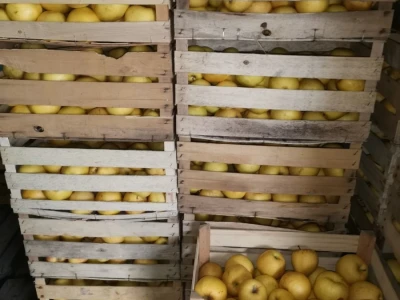 Mali proizvođači teško opstaju na tržištu