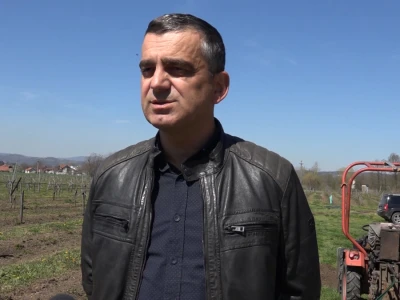 Maline i trešnje