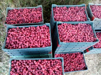Malinjak